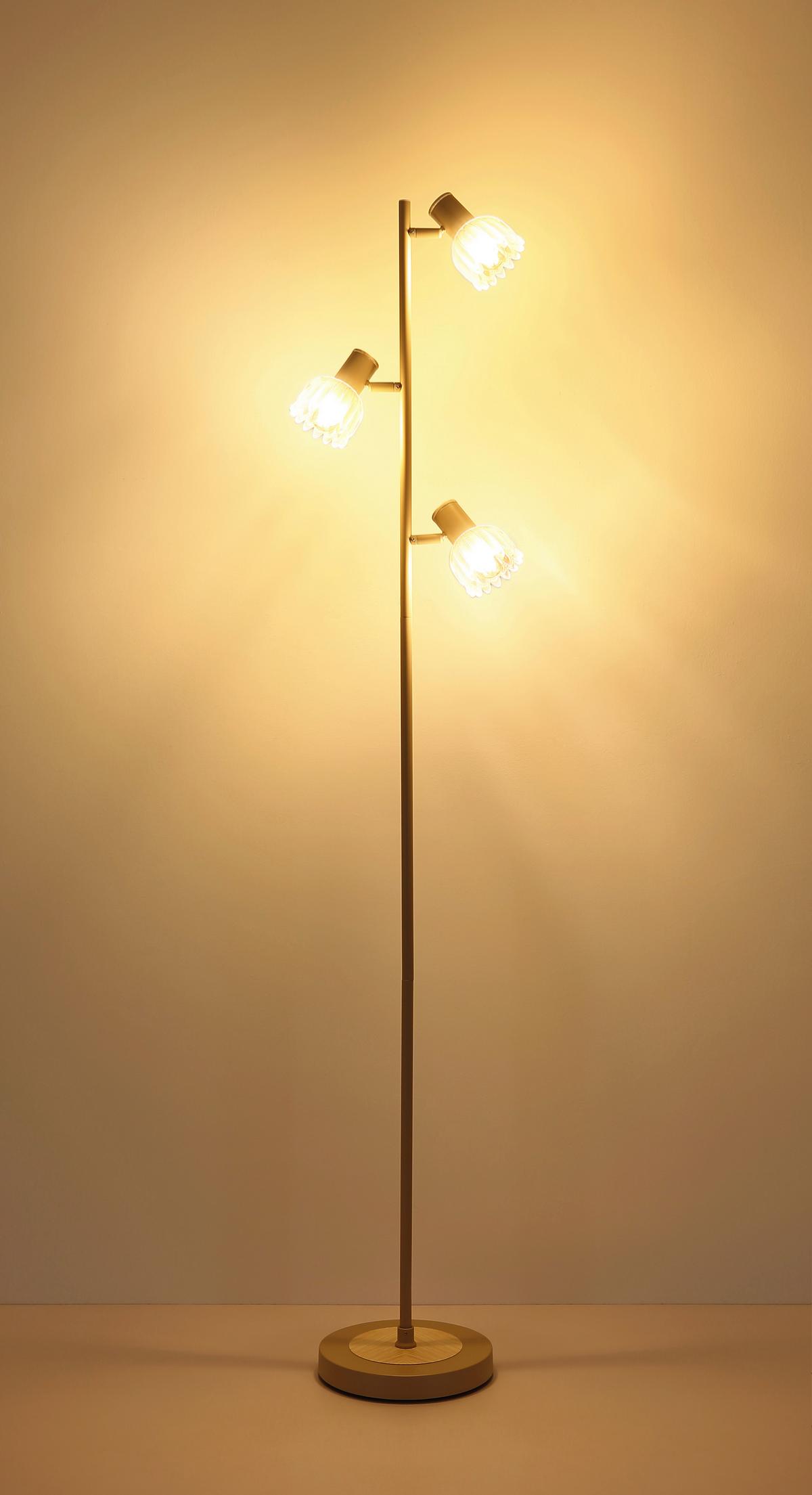 Podna Svjetiljka Planta - boje pijeska/crna, Konvencionalno, staklo/metal (28/23/154cm) - Globo