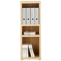 Regal Eichefarben - Eichefarben/Alufarben, MODERN, Holzwerkstoff/Kunststoff (40/112,8/37cm) - Premium Living