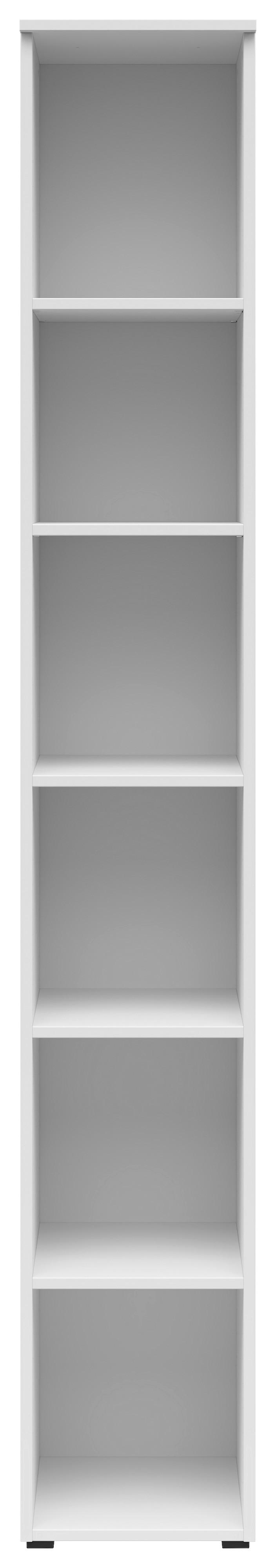 Regal Multistauraum, Bele Barve - bela/antracit, Moderno, umetna masa/leseni material (30/195/40cm) - Premium Living