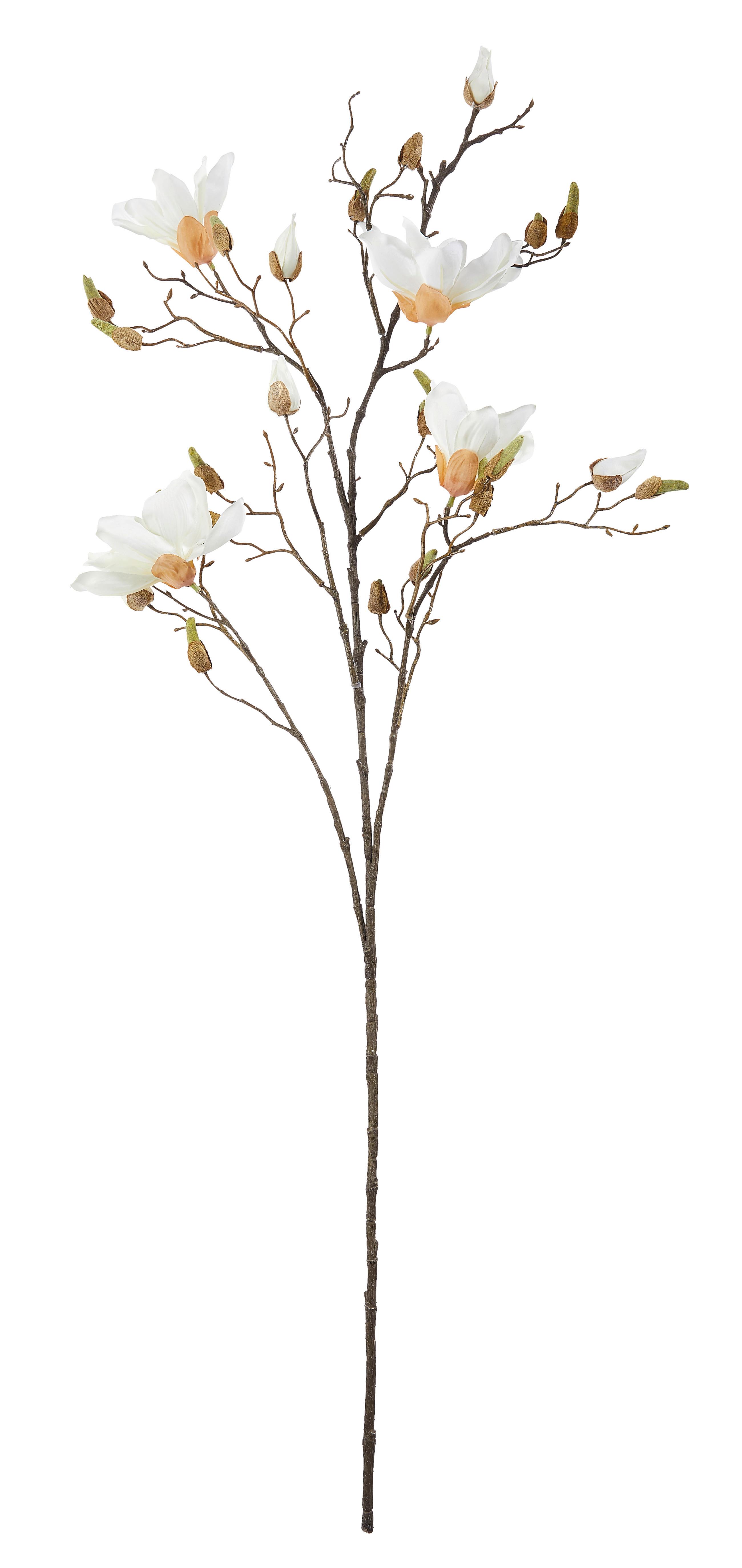 MAGNOLIA 9203-705 - zielony/jasnoróżowy, Basics, tworzywo sztuczne (110cm)