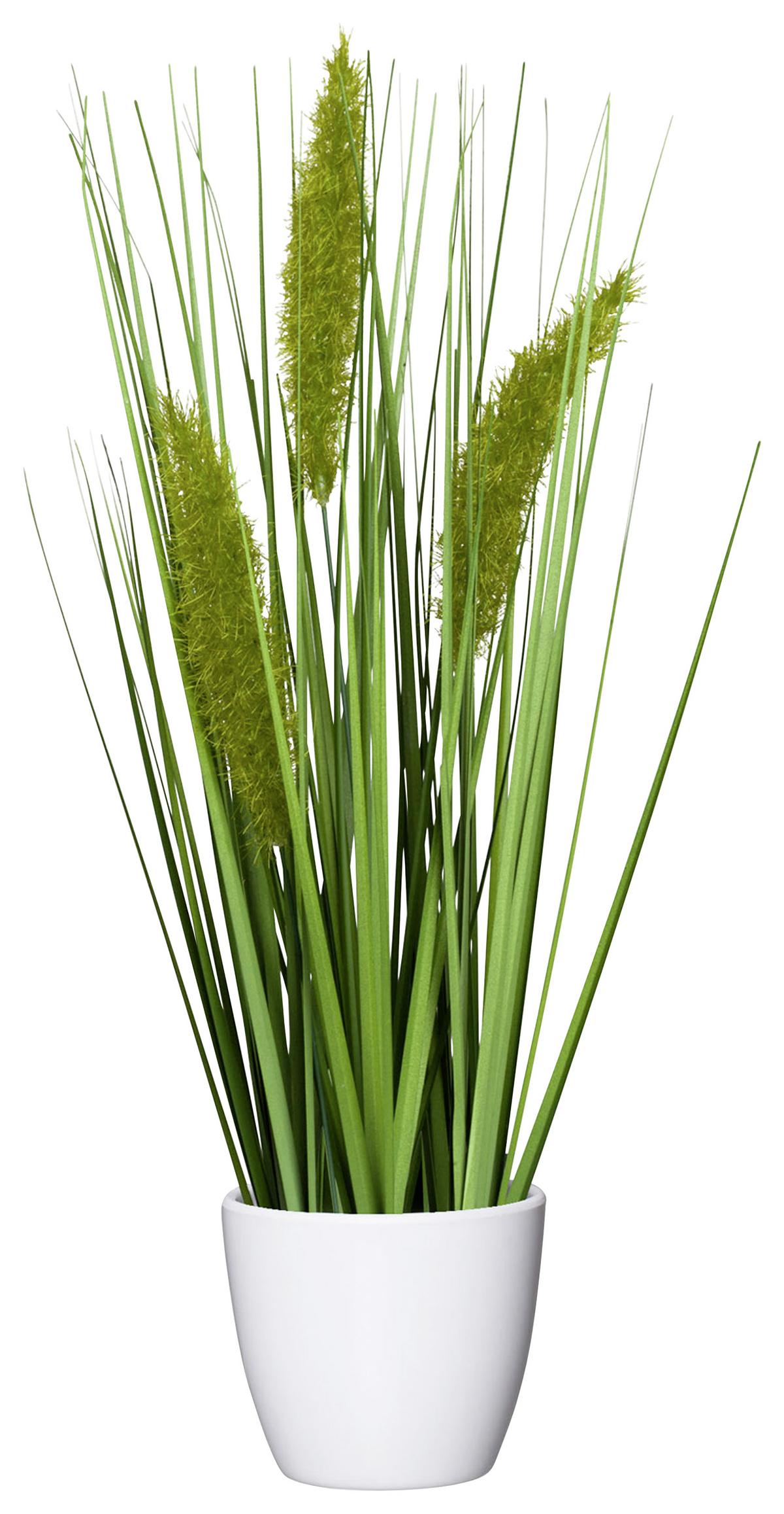 Mănunchi de iarbă Jimmy - verde, Konventionell, plastic (37cm) - Modern Living