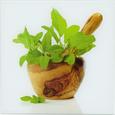 Glasbild Green Kitchen, ca.20x20x1,70cm - Braun/Grün, MODERN, Glas (20/20/1,70cm) - MÖMAX modern living