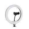 LED-RINGLAMPA TOFO - svart, Modern, metall/plast (24,5/38cm) - Mömax