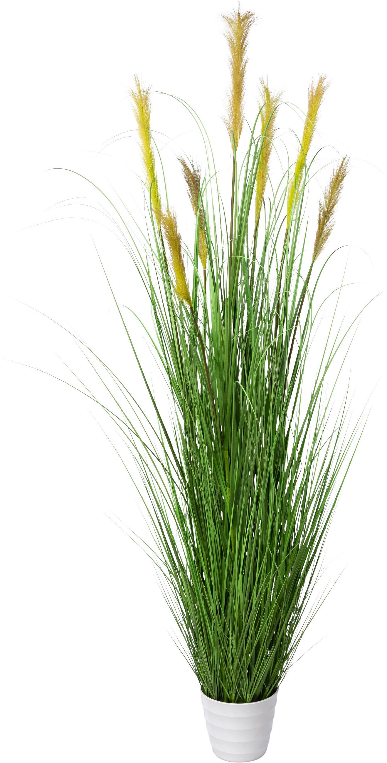 Kunstpflanze Grasbusch ca. 180cm - Weiss/Grün, Natur, Kunststoff (180cm) - Modern Living