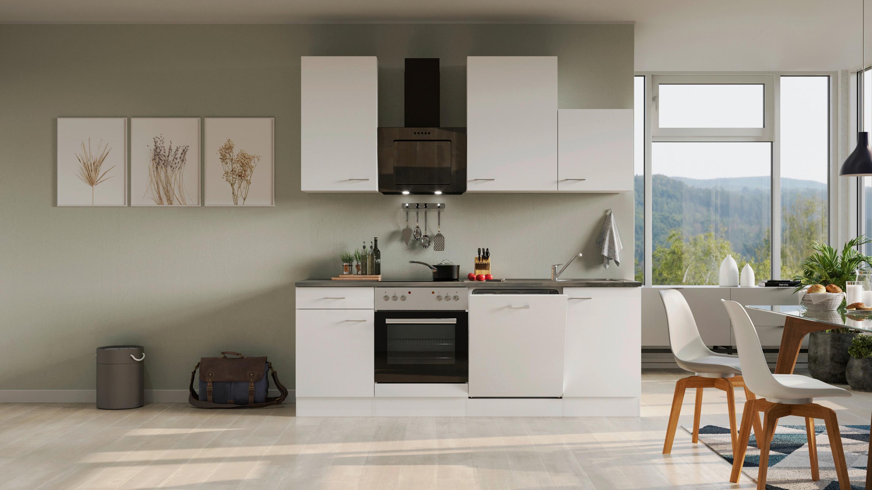 Kuhinjski Blok Lucca - bela/barve aluminija, Moderno, umetna masa/leseni material (220cm) - FlexWell