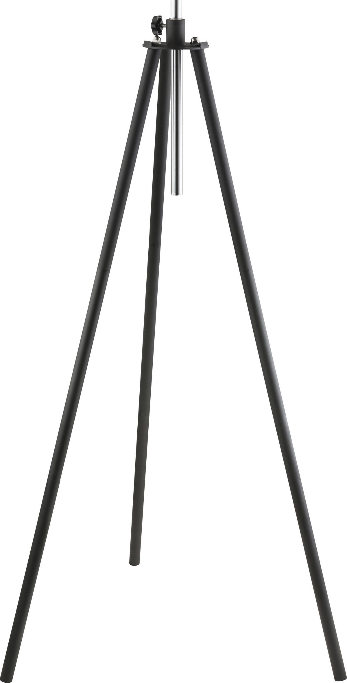 Svjetiljka Podna 58305 Lenn - zlatne boje/crna, Trend, metal (69/179cm) - Globo
