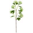 Kunstblume Schneeball ca. 95cm - Hellgrün/Braun, Basics, Kunststoff (95cm) Kunstblume Schneeball ca. 95cm - Hellgrün/Braun, Basics, Kunststoff (95cm)