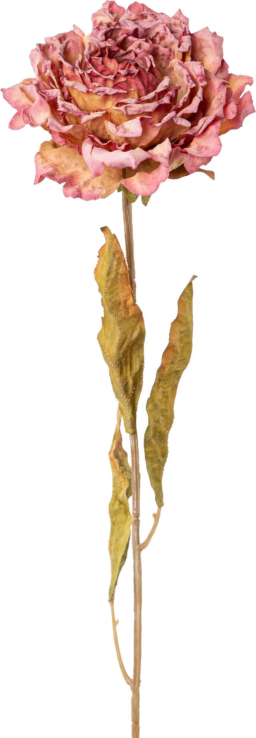 UMJETNO CVIJEĆE PEONIE I - ružičasta/zlatne boje, Basics, plastika (64cm) - Modern Living