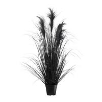Kunstpflanze Pampasgras I in Schwarz - Schwarz, MODERN, Kunststoff (92cm) - Modern Living