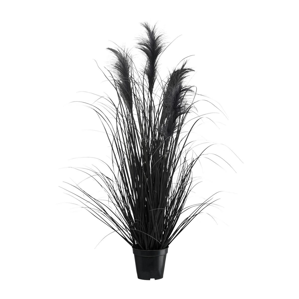 Kunstpflanze Pampasgras I in Schwarz - Schwarz, MODERN, Kunststoff (92cm) - Modern Living