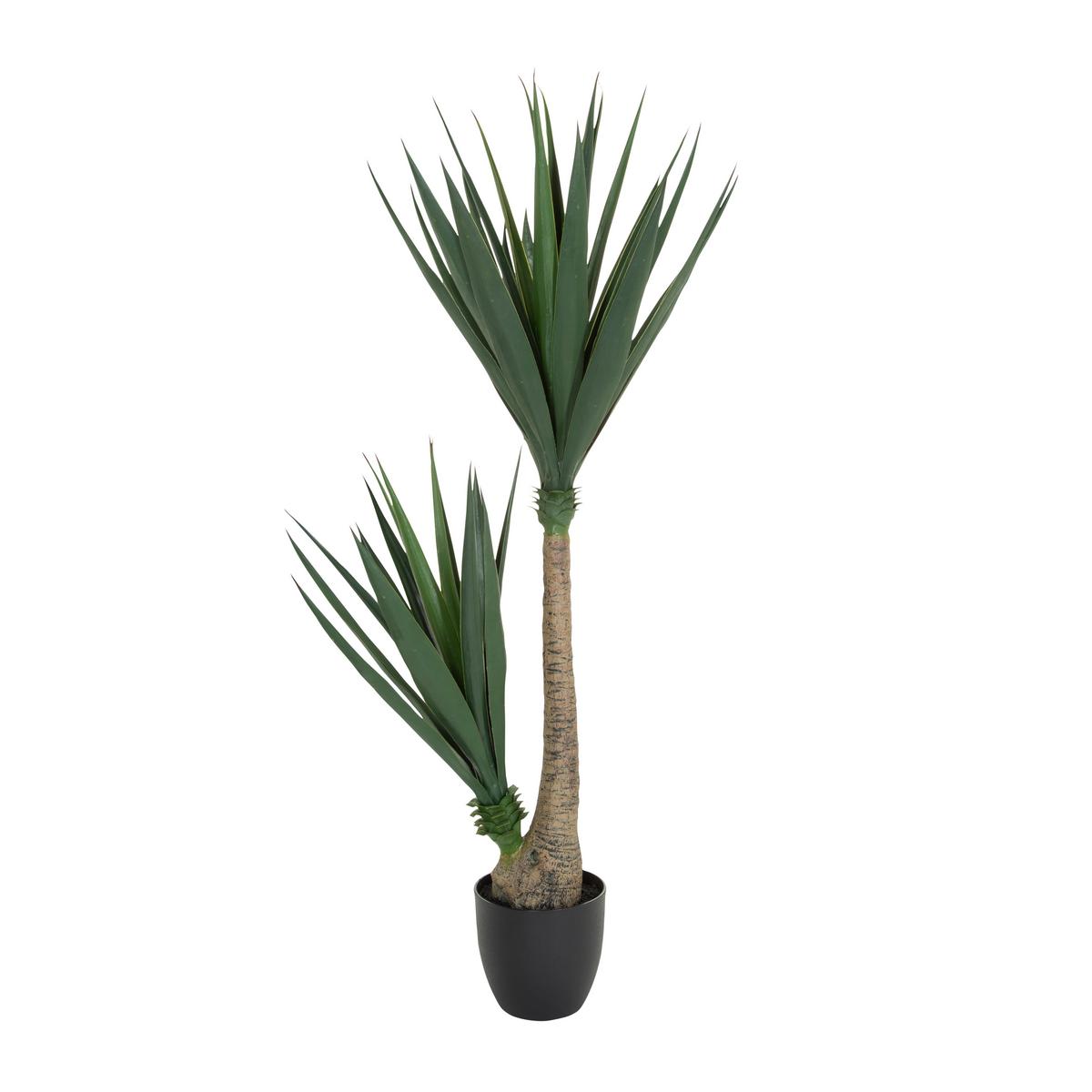 Umetna Rastlina Yucca - črna/zelena, Basics, umetna masa (50/135/50cm) - MID.YOU