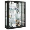 Hängevitrine Udina in Schwarz - Schwarz, MODERN, Glas/Holz (60/80/25cm) - MID.YOU