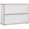 Pisarniški Regal Salia B100, Bela, Barva Hrasta - črna/bela, Design, umetna masa/leseni material (100/74/33cm) - MID.YOU