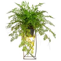 Kunstpflanze Farnmix Grün/Schwarz ca. 60cm - Schwarz/Grün, Basics, Kunststoff/Metall (60cm) - P & B