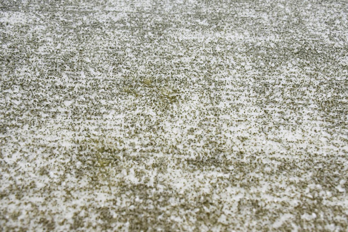 WEBTEPPICH ETNA 110 SILBER / OLIV 80X150 - Silberfarben/Olivgrün, Basics, Textil (80/150cm) - Kayoom