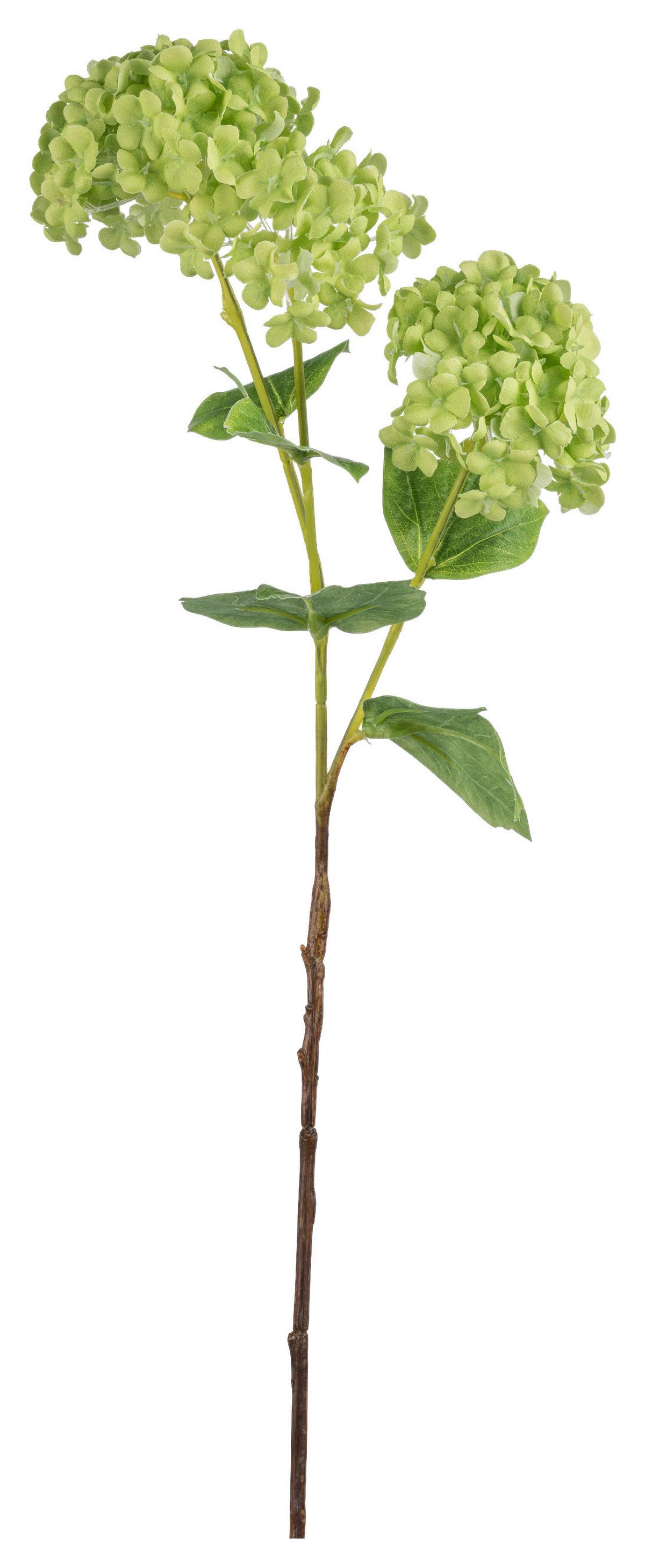 Kunstpflanze Schneeballzweig I in Grün/Weiß - Weiss/Grün, Konventionell, Kunststoff (61cm) - Modern Living