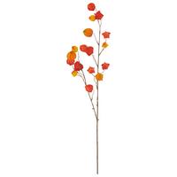 Kunstpflanze Physaliszweig I Braun/Orange - Orange/Braun, Basics, Kunststoff (105cm) - Mömax