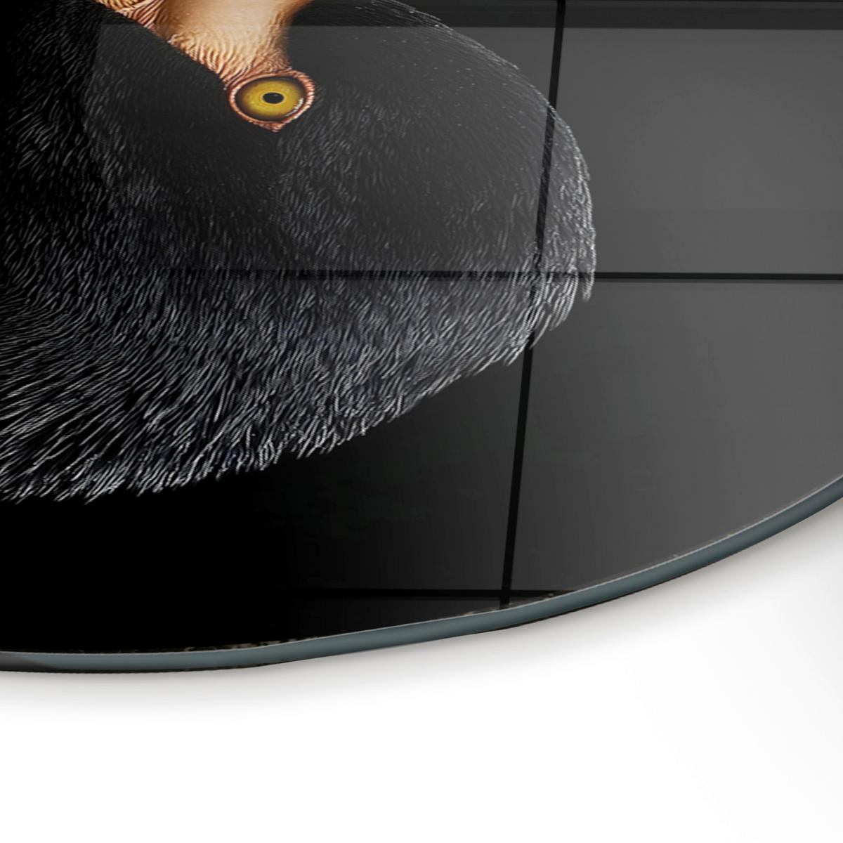 Glasbild Schwarz/Goldfarben ca.70x100cm - Goldfarben/Schwarz, Basics, Glas/Papier (70/100cm)