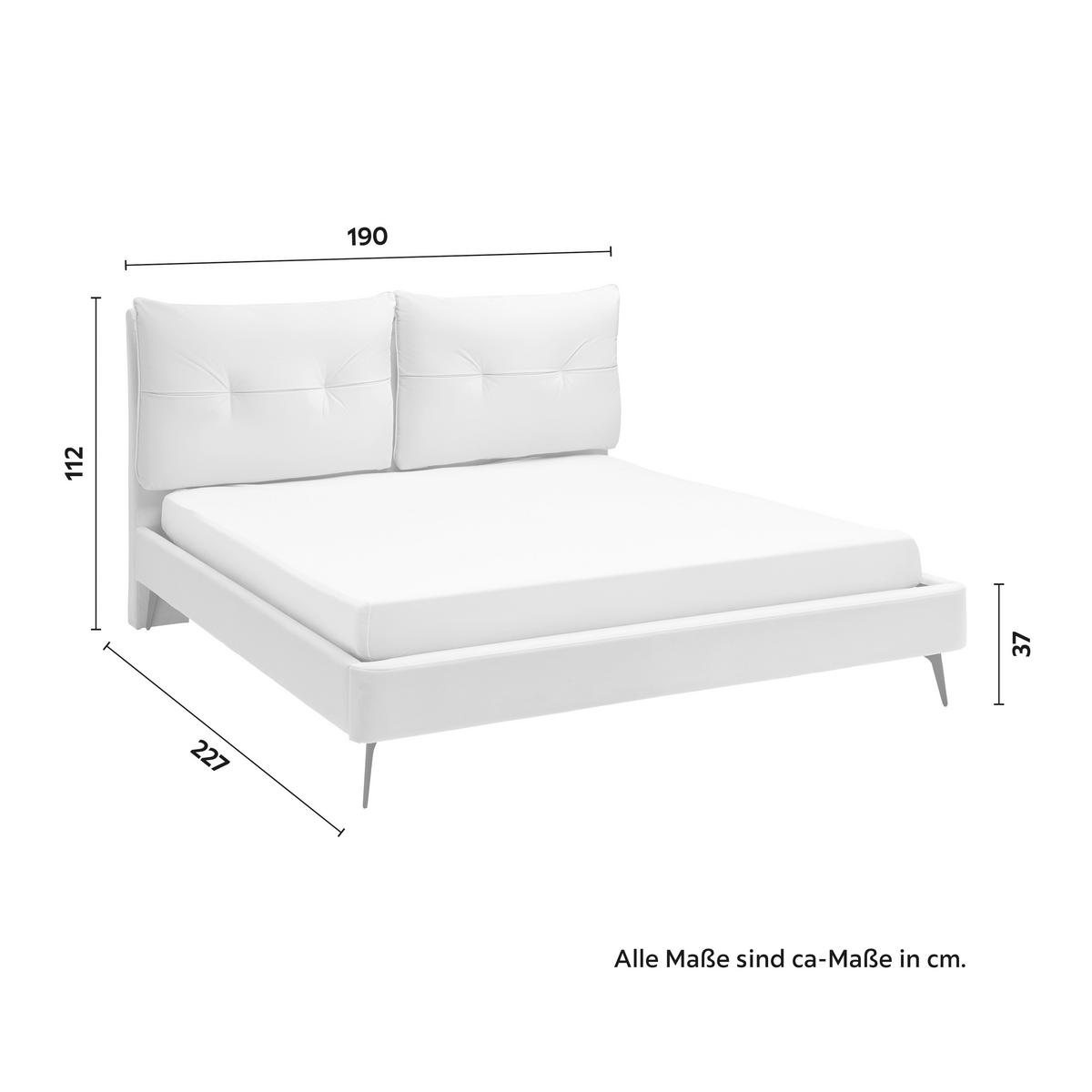 Polsterbett Malea ca. 180x200 cm Hellgrau - Hellgrau/Schwarz, MODERN, Holz/Textil (180/200cm) - Bessagi Home