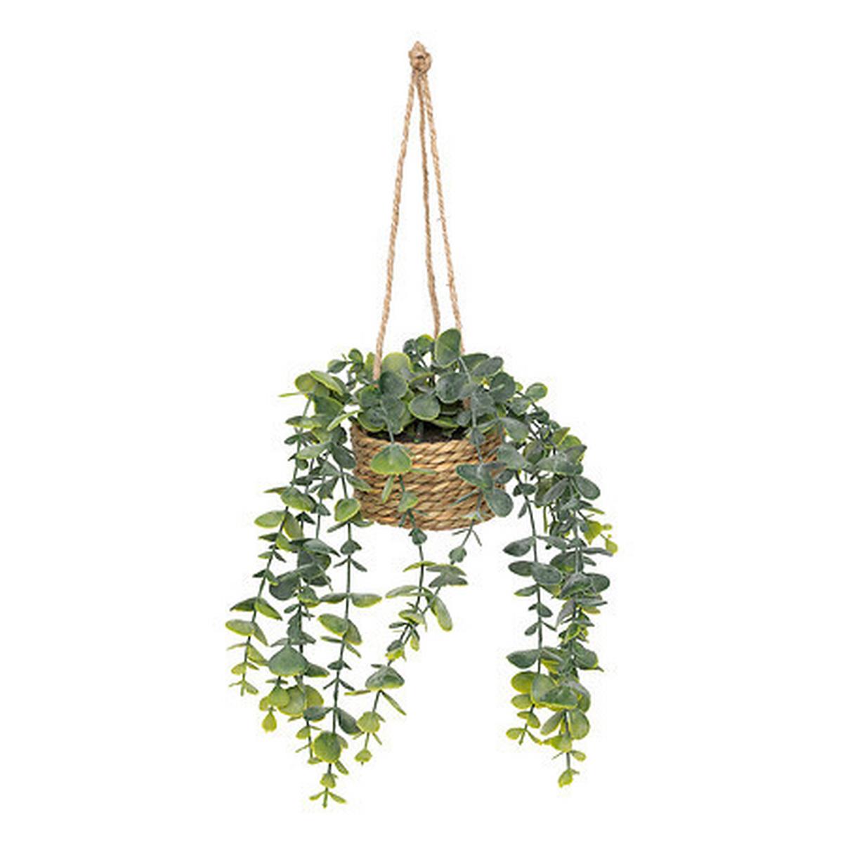 Plantă decorativă Patri - Basics (14/47/14cm)