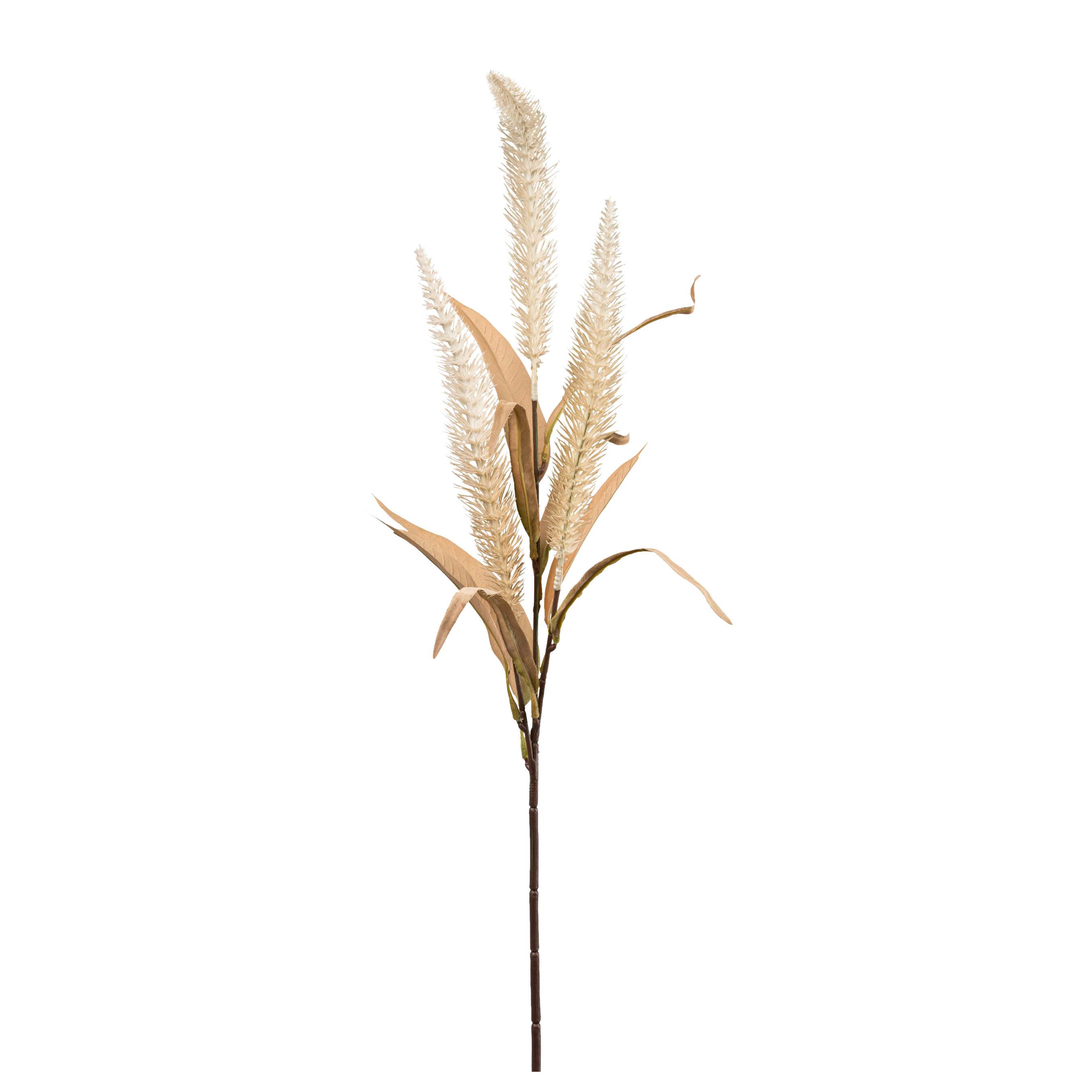 Műnövény Timo - barna/krém, Lifestyle, műanyag (70cm) - Modern Living