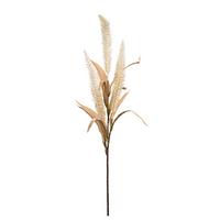 Műnövény Timo - krémszínű/barna, Lifestyle, műanyag (70cm) - Modern Living