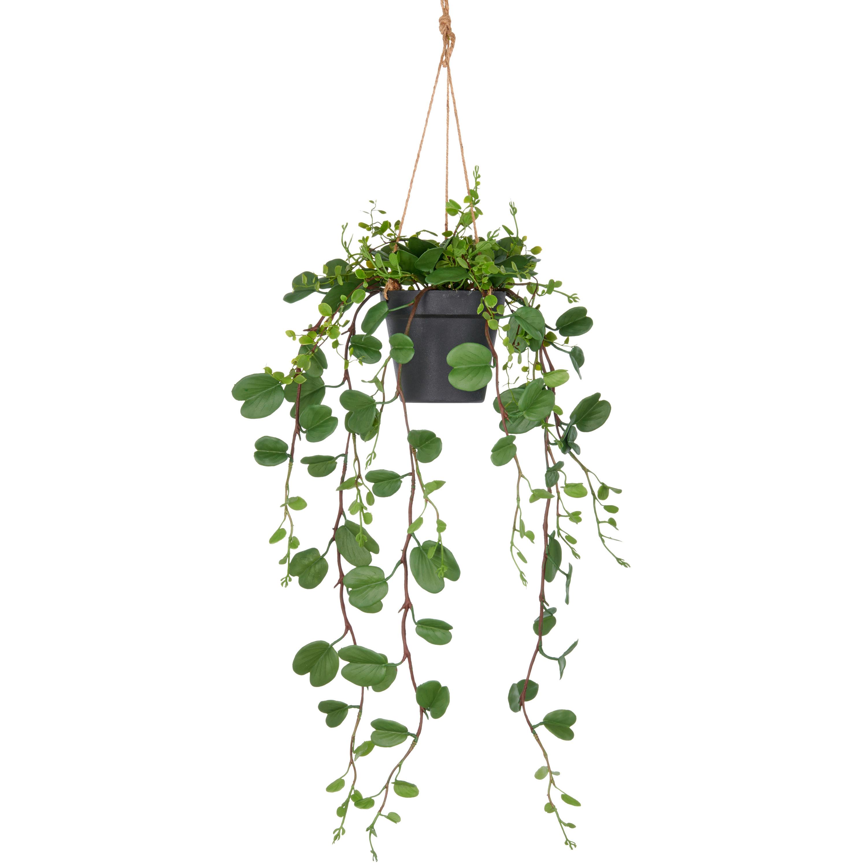 Kunstpflanze Grün/Schwarz - Schwarz/Grün, Basics, Kunststoff (60cm)