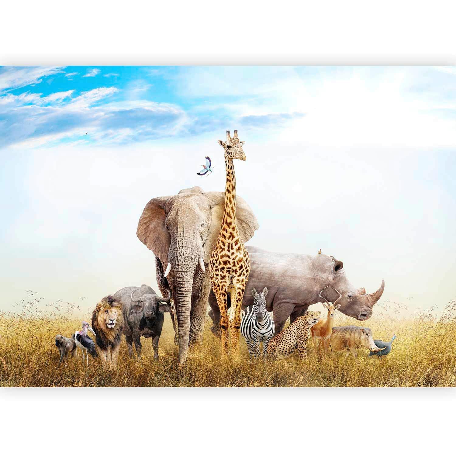 Fotótapéta Fauna Of Africa - többszínű, Lifestyle, textil (250cm) - artgeist