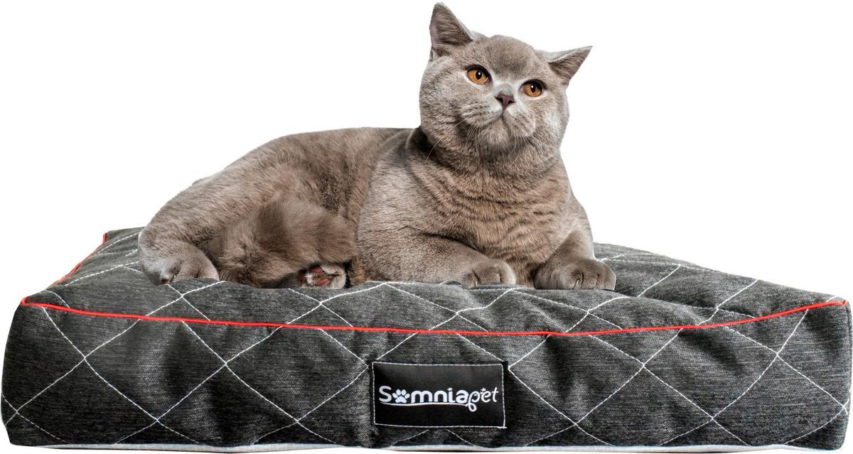 Blazina Za Hišne Ljubljenčke Erny S - Design (60/40/11cm)