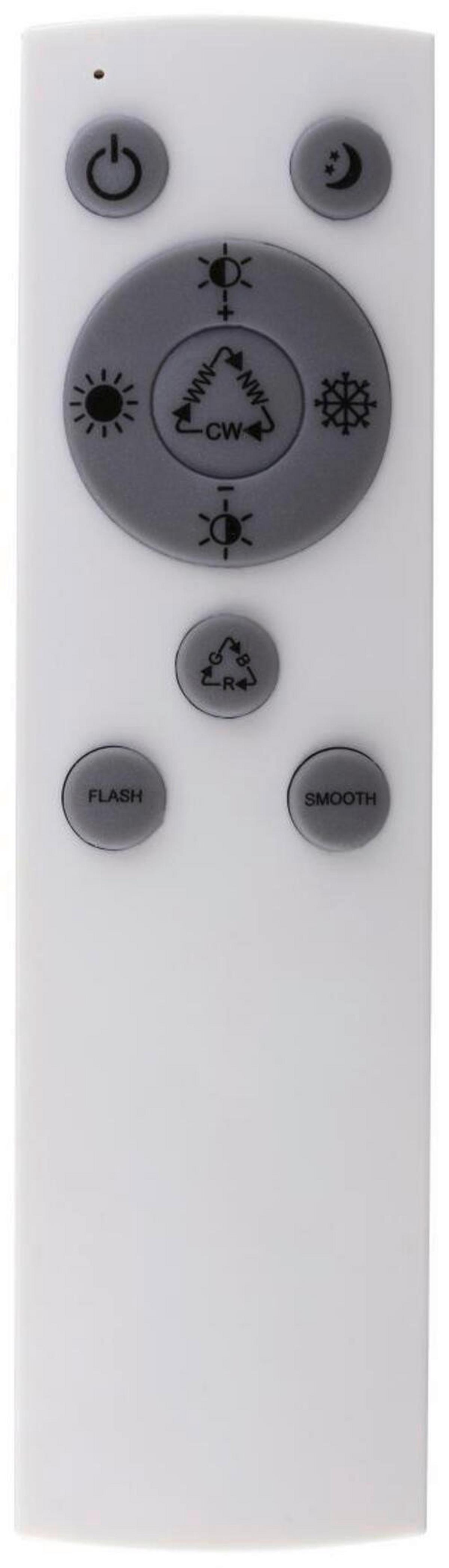 LED-Deckenleuchte Carry max. 30 Watt - KONVENTIONELL, Kunststoff/Metall (53/9cm)