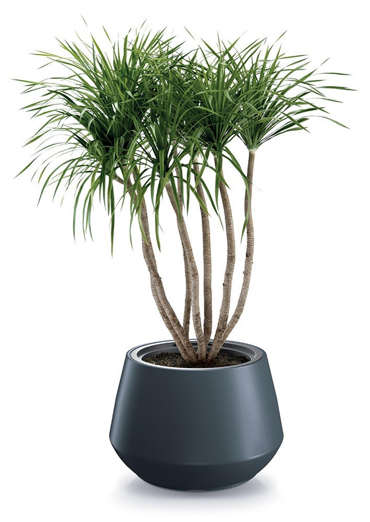 Kaspó Heos Design - Basics (44cm)