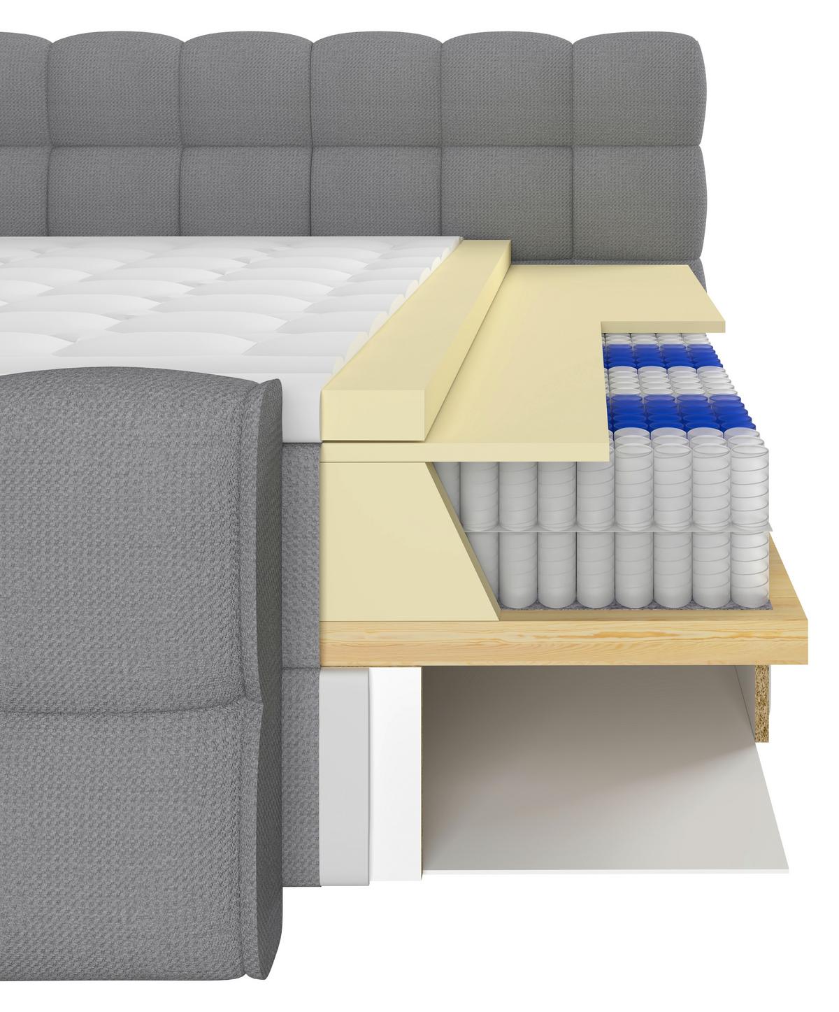 Boxspring Krevet Brisbane - siva/crna, Trend, drvni materijal/drvo (120/200cm) - Premium Living