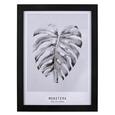 Bild Monstera Grau/Schwarz ca.30x40x1,7cm - Schwarz/Grau, MODERN, Kunststoff (30/40/1,7cm) - Bessagi Home Bild Monstera Grau/Schwarz ca.30x40x1,7cm - Schwarz/Grau, MODERN, Kunststoff (30/40/1,7cm) - Bessagi Home