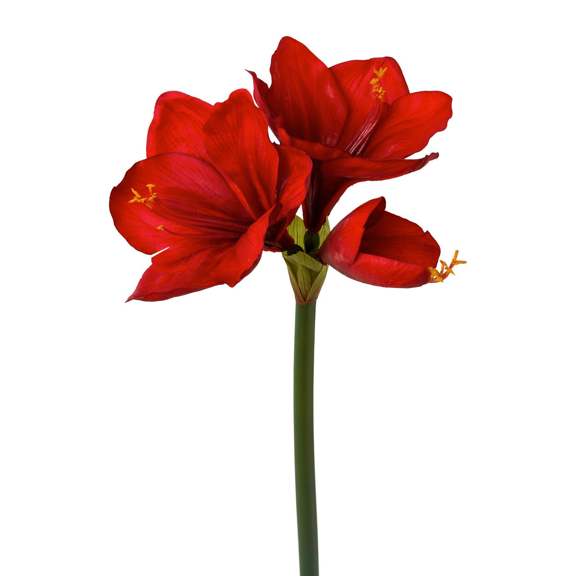 Kunstpflanze Amaryllis Rot/Grün - Rot/Grün, Basics, Kunststoff (68cm)