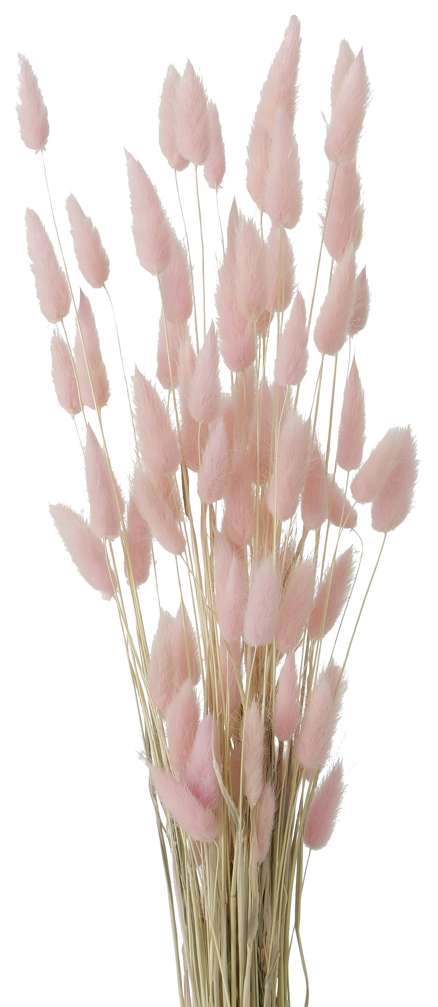 Plantă artificială Samtgras - roz/culoare natur, Modern, materiale naturale (60cm)