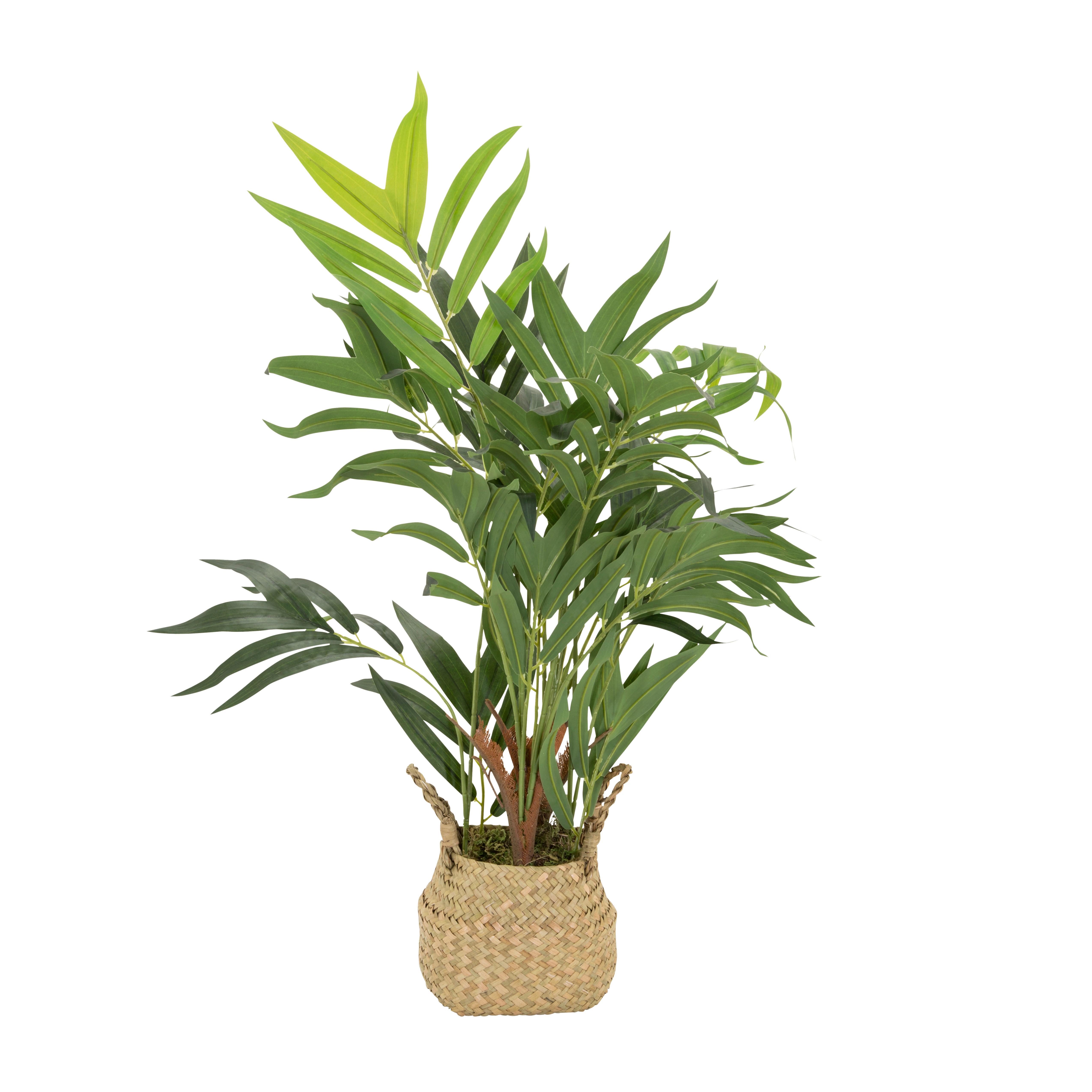 Umetna Rastlina Chamaedorea - svetlo rjava/zelena, Basics, umetna masa/tekstil (50/65/50cm) - MID.YOU