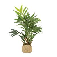Umetna Rastlina Chamaedorea - svetlo rjava/zelena, Basics, umetna masa/tekstil (50/65/50cm) - MID.YOU