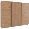 Ormar S Kliznim Vratima Andorra - hrast Artisan/crna, Moderno, drvni materijal/metal (300/216/65cm) - Modern Living