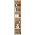 Regal In Sanremo Eiche - MODERN, Holz (44/220/36cm) - Mömax modern living
