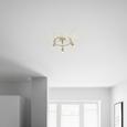 Reflector Cu Led Fritz - Konventionell, metal (25/15cm) - Mömax modern living Reflector Cu Led Fritz - Konventionell, metal (25/15cm) - Mömax modern living