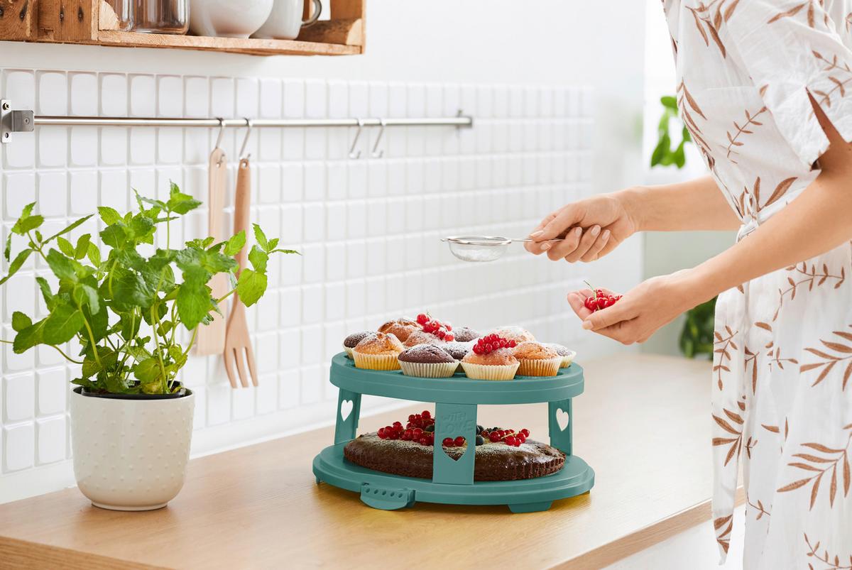 POJEMNIK DO TRANSPORTU CIASTA 1046005092 - zielony/przezroczysty, Basics, tworzywo sztuczne (35,5/34,5/26cm) - Rotho