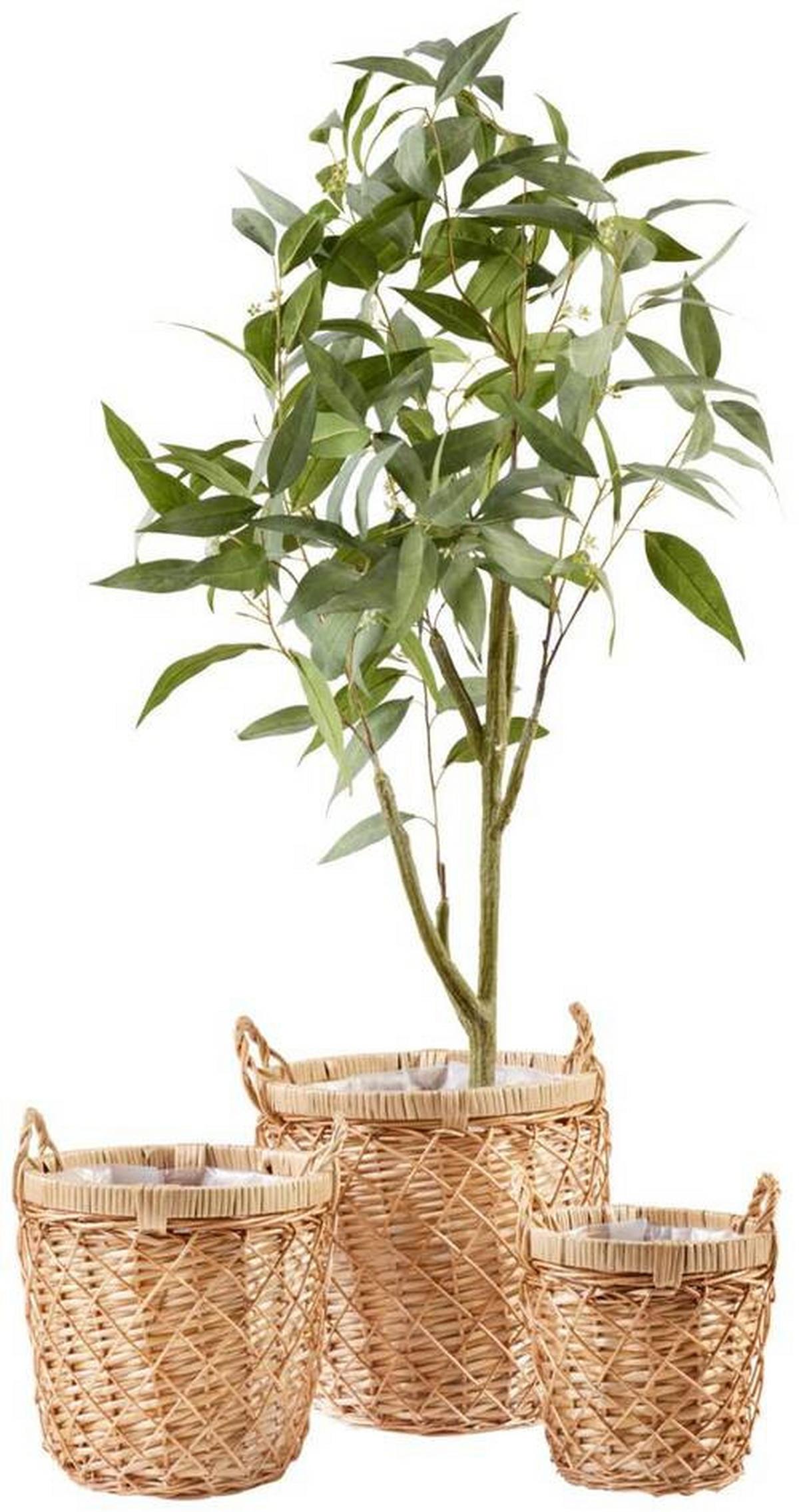 Kosár Warema - natúr, Natur, természetes anyagok (20/20/20cm) - Modern Living