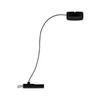 Schienensystem-Einspeiser Urail Cable Feed max. 1000 W - Schwarz, Basics, Kunststoff/Metall (70cm) - Paulmann