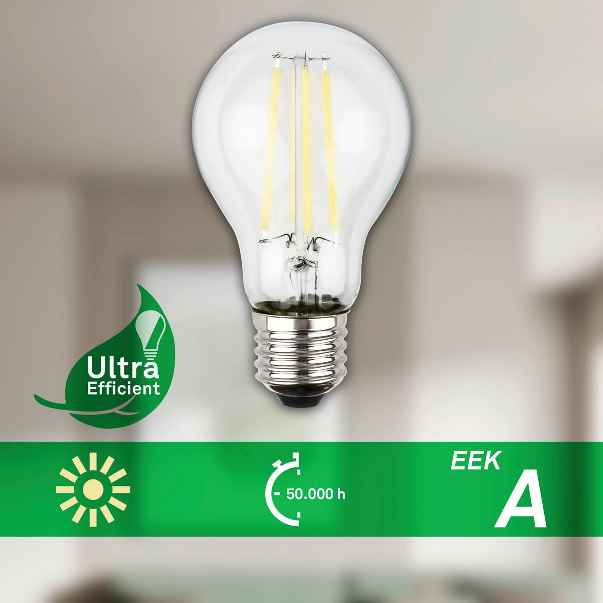 ŻARÓWKA LED 0551005 BULB A60 2ER SET - kolor srebrny, Basics, szkło (6/10.6cm)