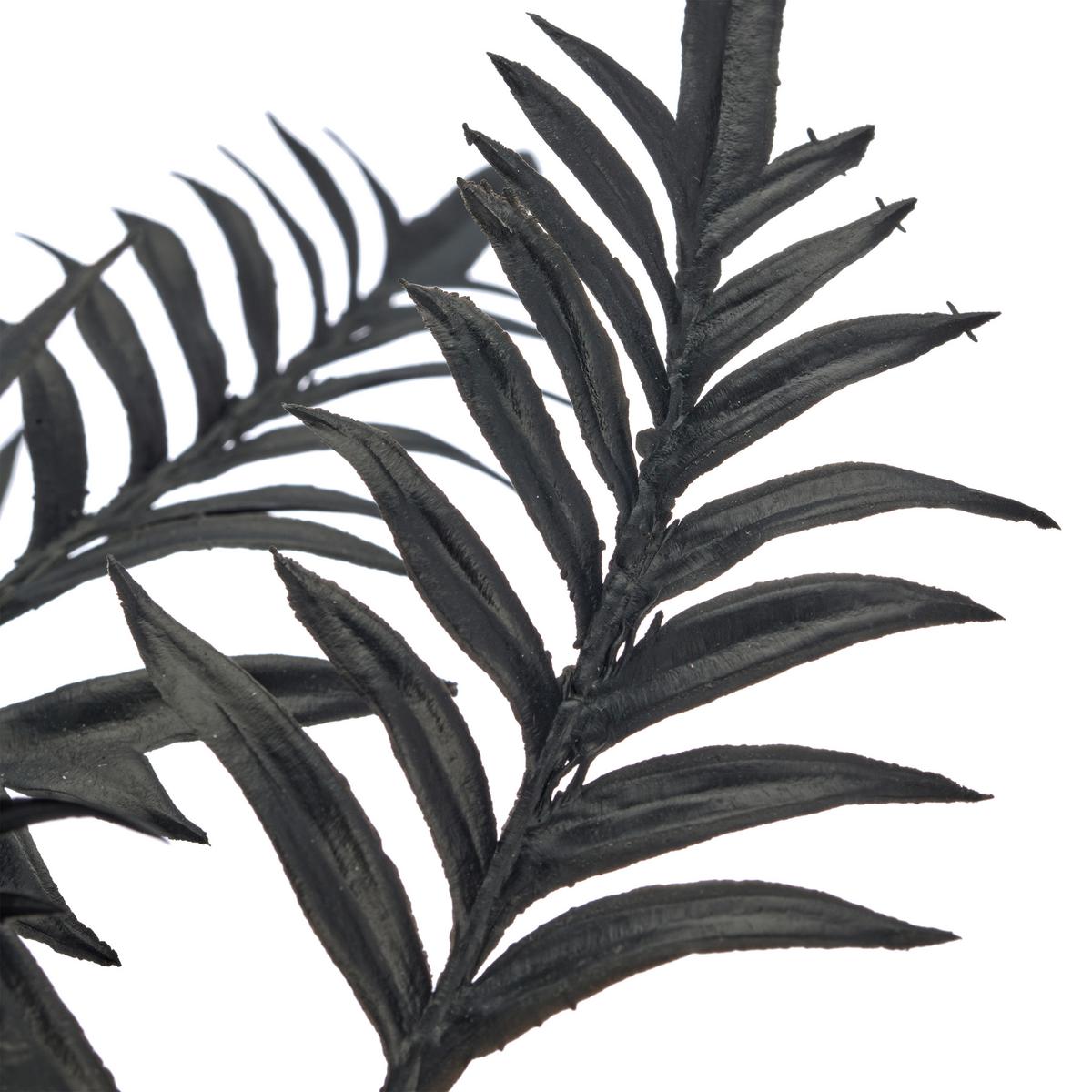 Kunstpflanze Pteris II Schwarz ca. 50cm - Schwarz/Braun, Basics, Kunststoff/Metall (50cm) - Mömax