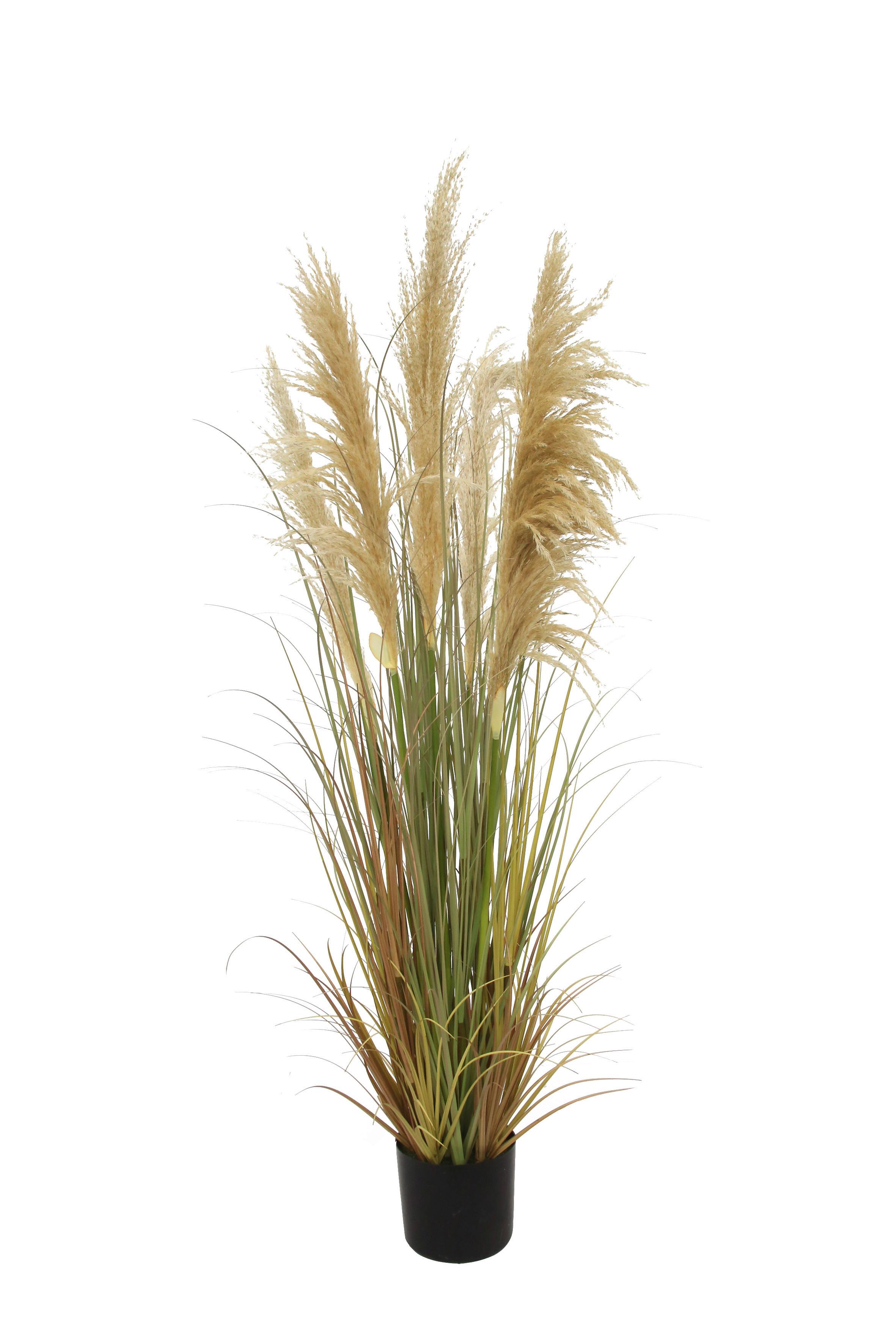 TRAWA DEKORACYJNA B0202-LBR-BEG5 - brązowy, Natur, tworzywo sztuczne/metal (150cm) - Ambia Home