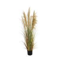 TRAWA DEKORACYJNA B0202-LBR-BEG5 - brązowy, Natur, tworzywo sztuczne/metal (150cm) - Ambia Home