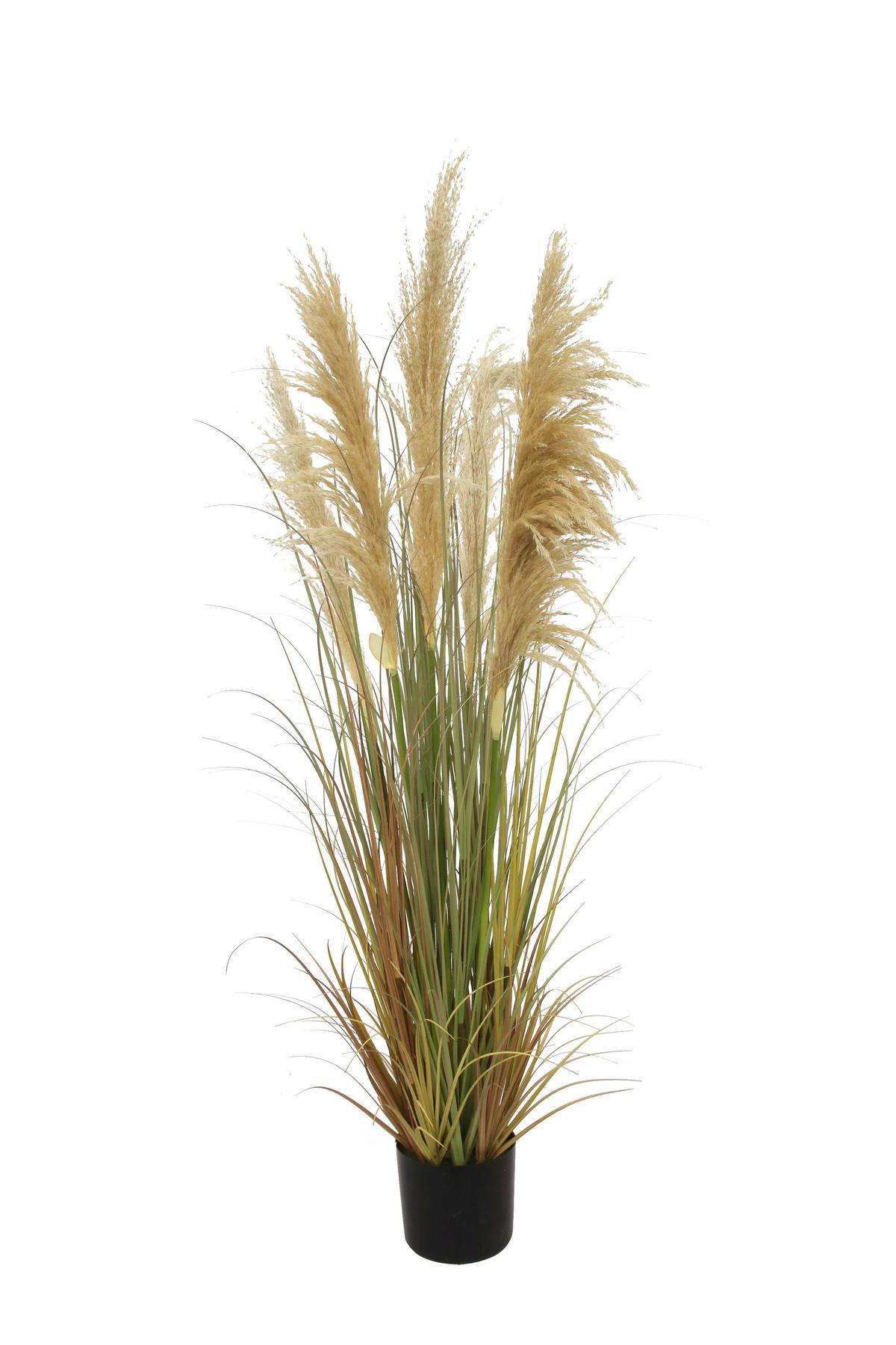TRAWA DEKORACYJNA B0202-LBR-BEG5 - brązowy, Natur, tworzywo sztuczne/metal (150cm) - Ambia Home