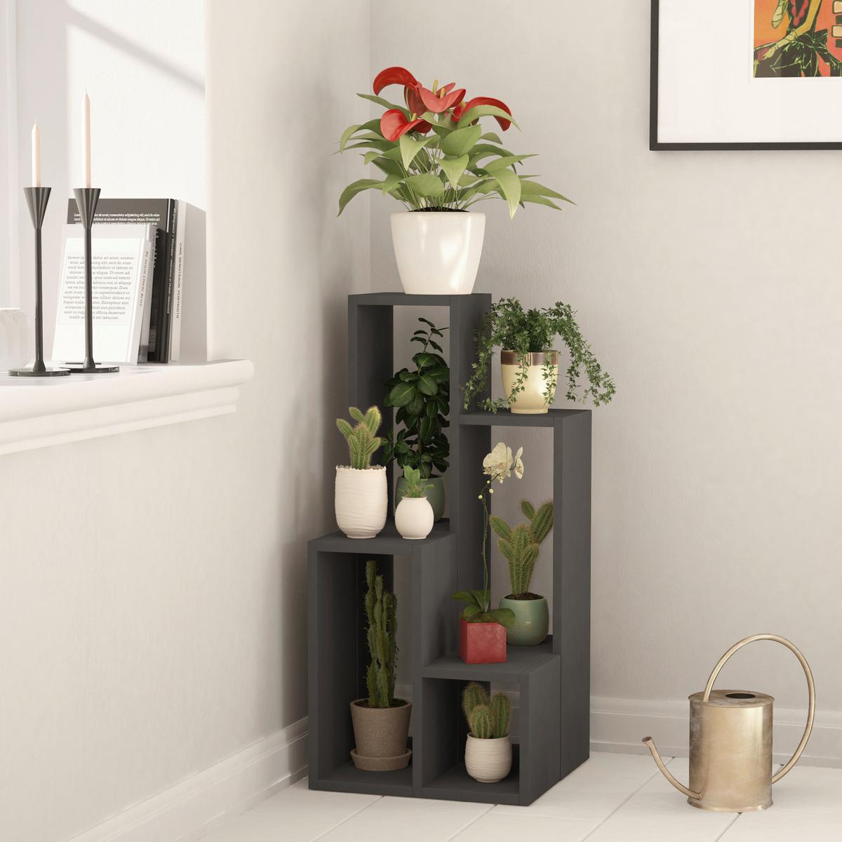 Regal Sule - antracit, Design, leseni material (42/89/20cm) - Livetastic