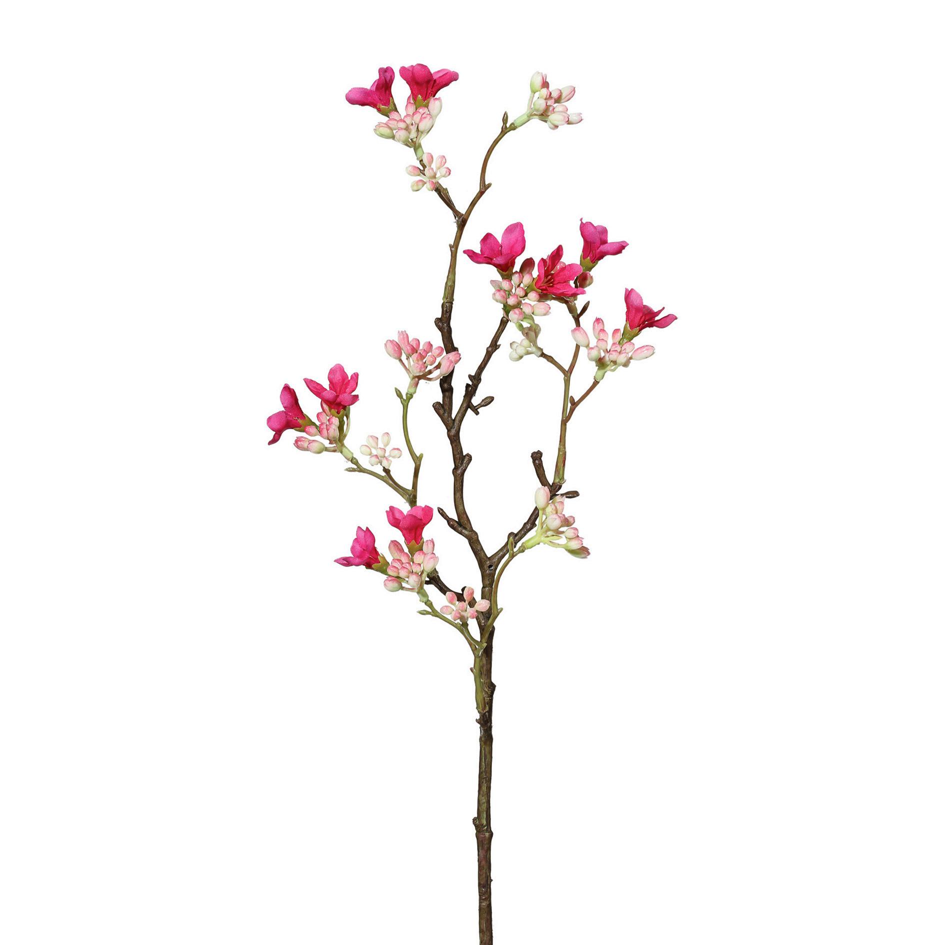 Umetna Rastlina Scheinquittenzweig I -Paz- - pink/rjava, Basics, umetna masa (51cm) - Modern Living